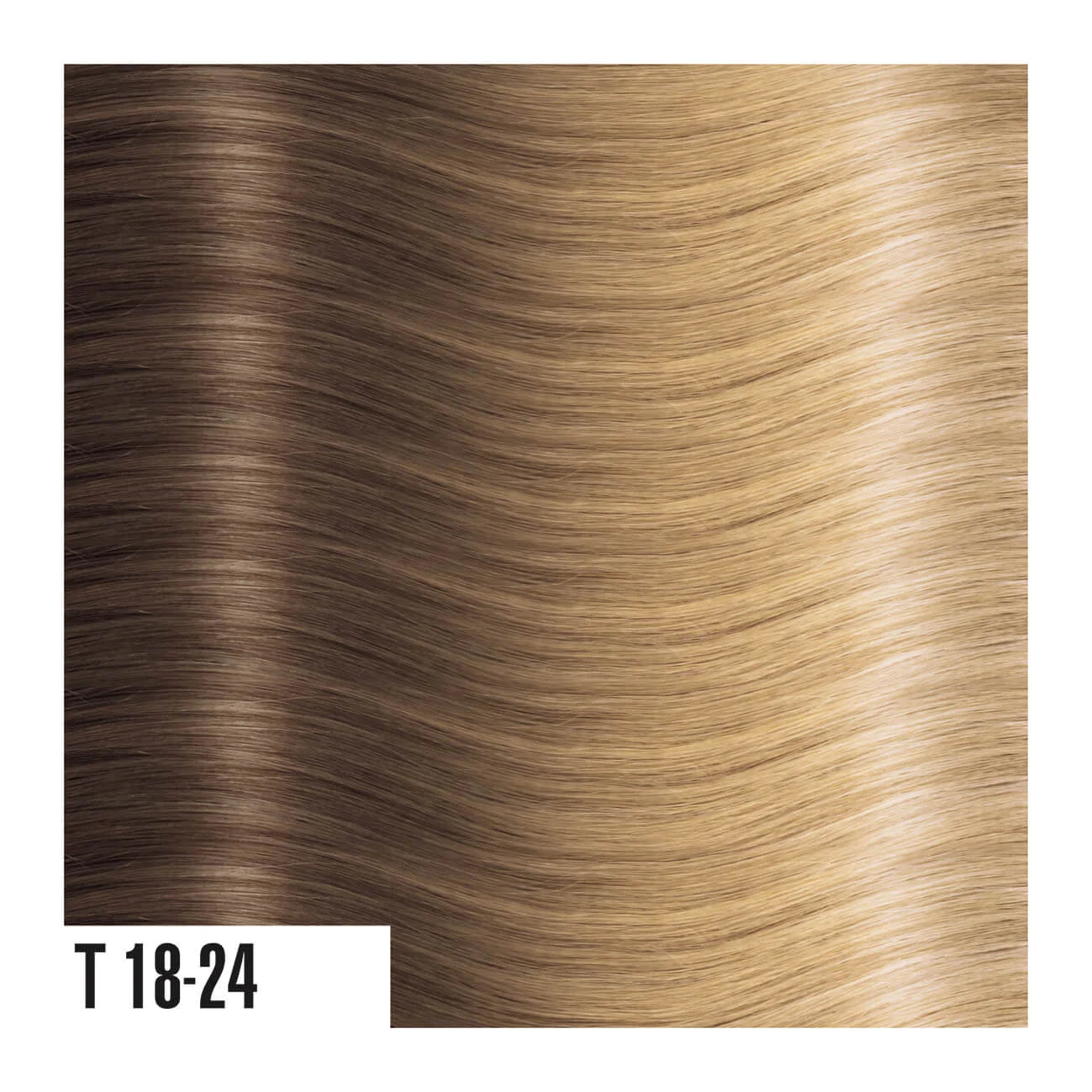 SHE 21" OMBRE