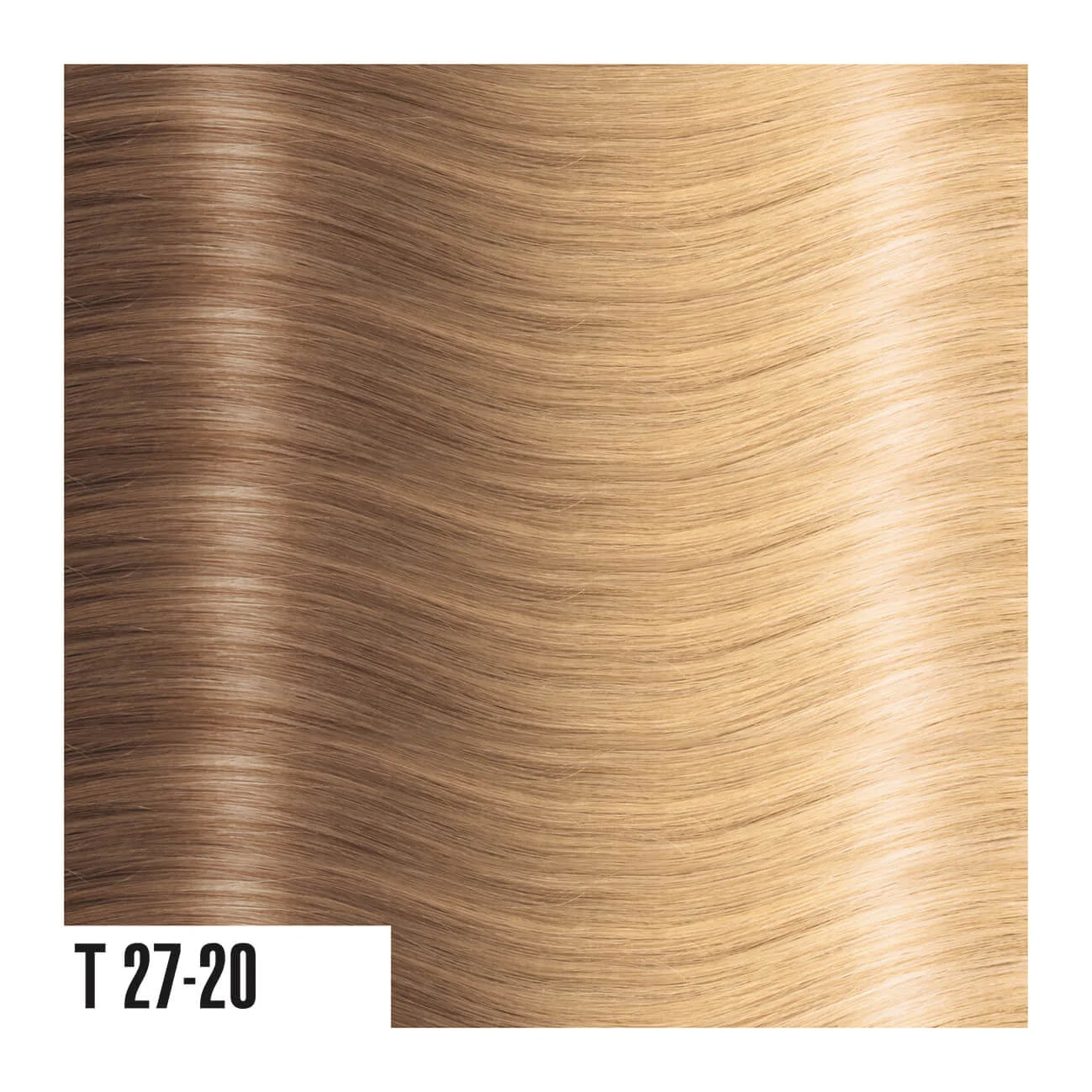 SHE 21" OMBRE